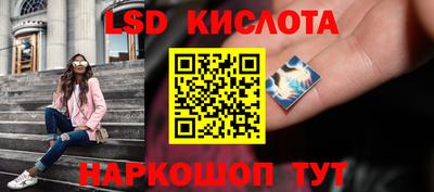 прущие грибы Пугачёв