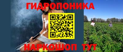 a pvp Рыбинск