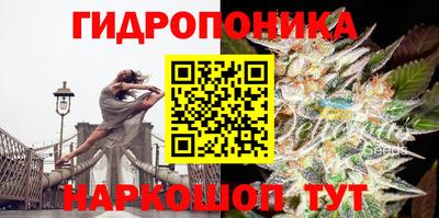 тгк Рязань