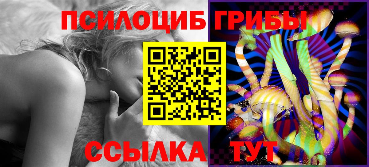 Рассказово  Галлюциногенные грибы прущие грибы  Вход с VPN 