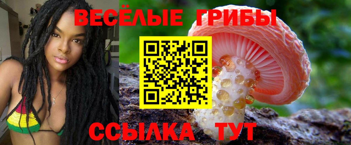 Псилоцибиновые грибы прущие грибы Рассказово